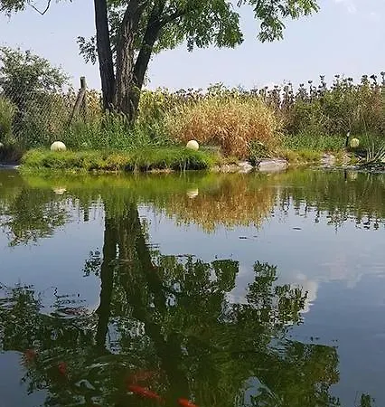 Hethatar Wellness Vendeghaz - Voeroesbegy וילה